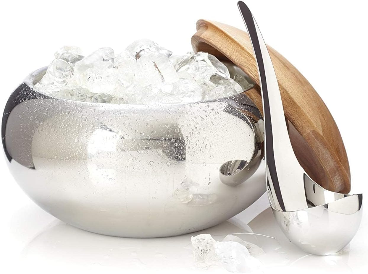 Geïsoleerde roestvrijstalen ij - Ice Bucket Silver recensie en prijs