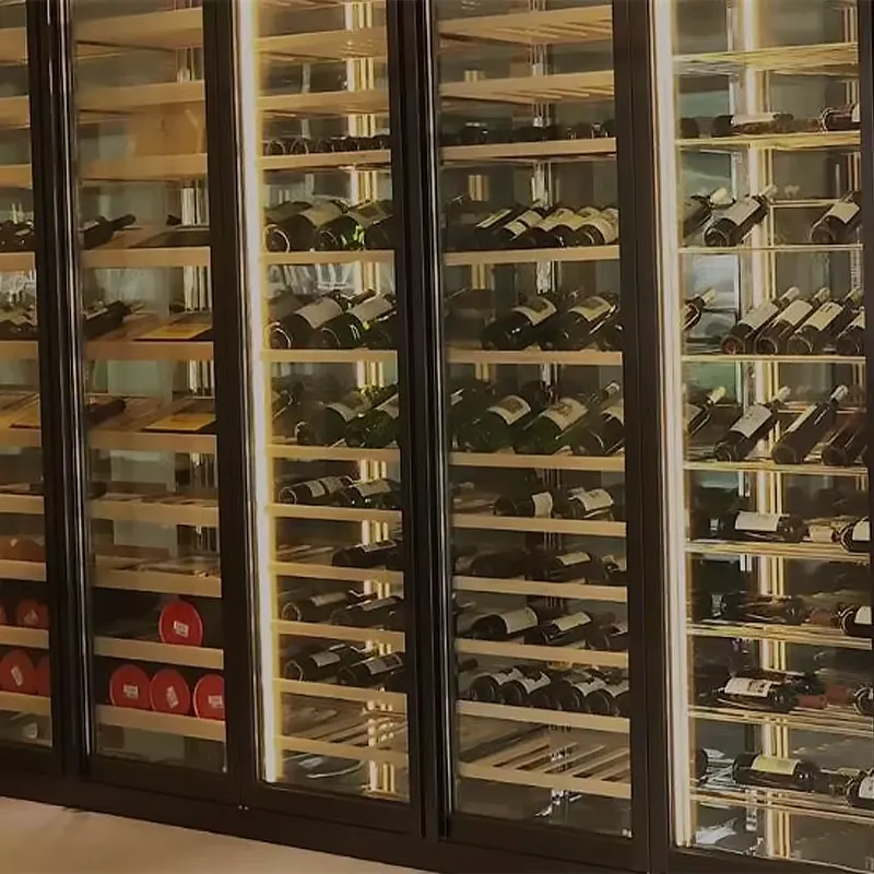 Elektrische 3-deurs glazen deu - Wine Beer Fridge Cabinet recensie en prijs