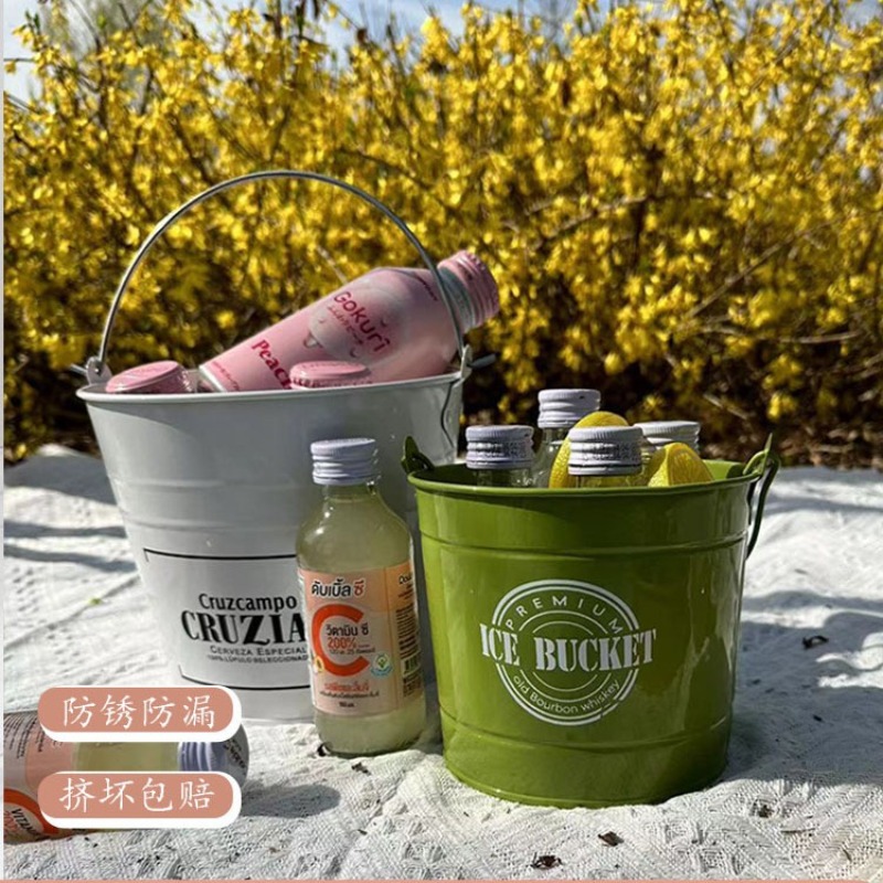 Commerciële Ijsemmer Drank Bie - Ice Bucket Silver recensie en prijs